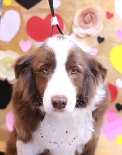 20230209ソイくん